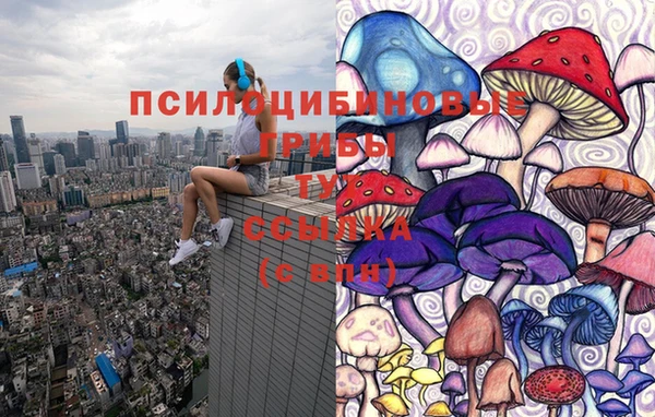 прущий лед Алексин