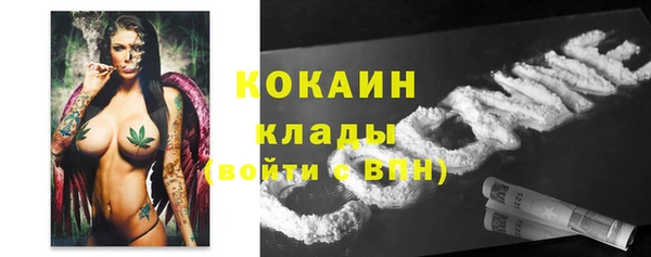 прущий лед Алексин
