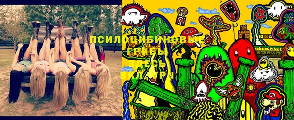 прущий лед Алексин