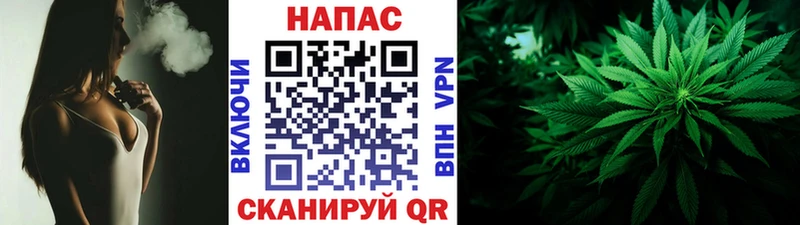 Каннабис SATIVA & INDICA  закладка  Бикин 